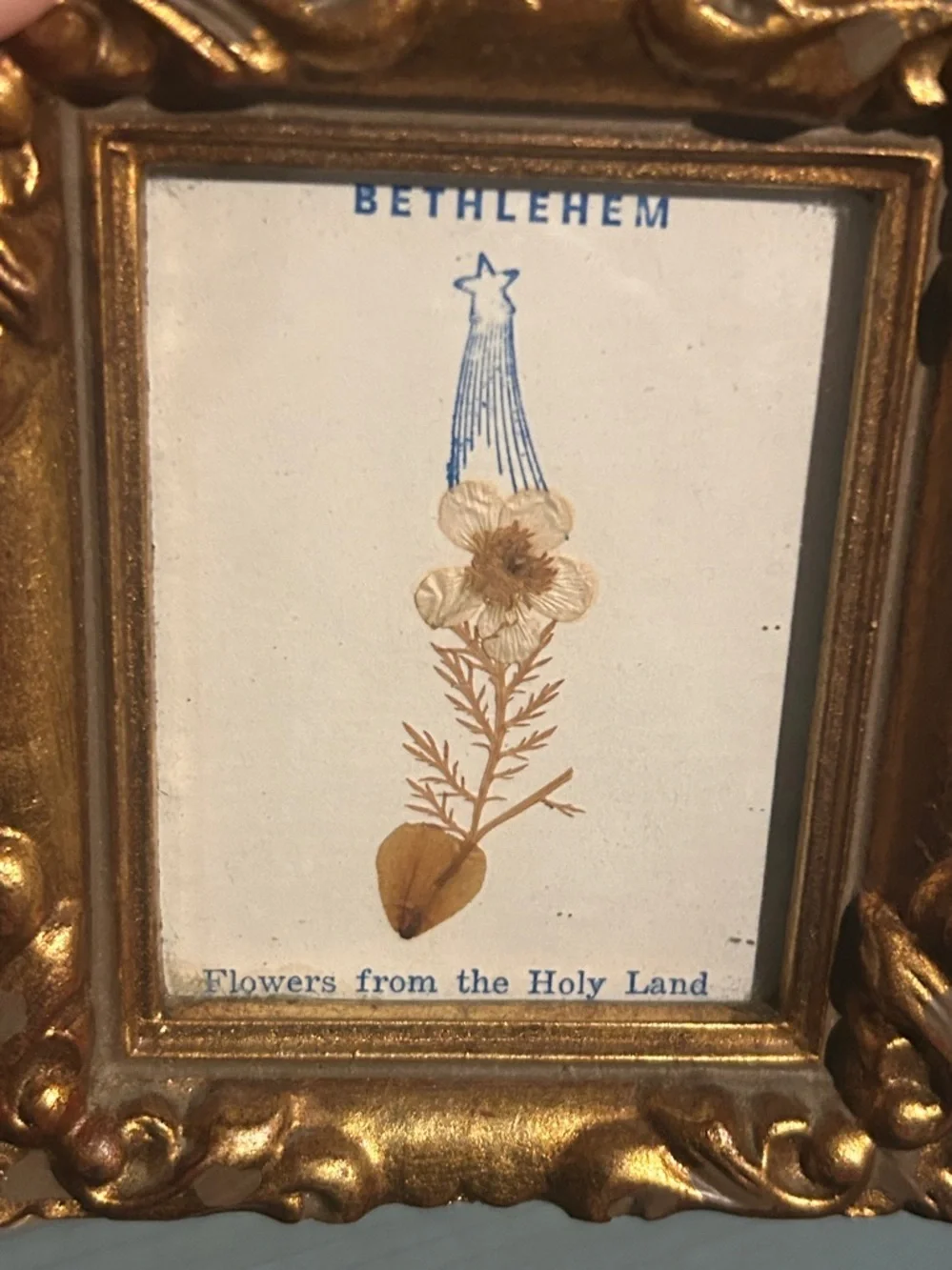 Jerusalem Bethlehem Flowers from Holy Land Set Gold Ornate Picture Frames 3x4x1